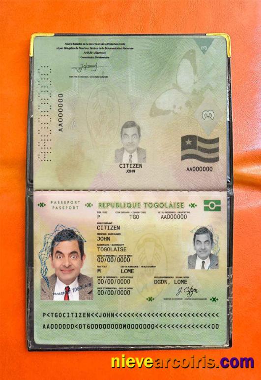 Togo passport photolook